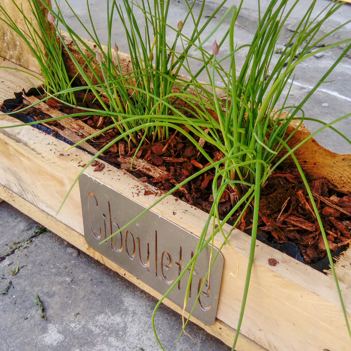 Plaque pour Jardinière - Acier galvanisé