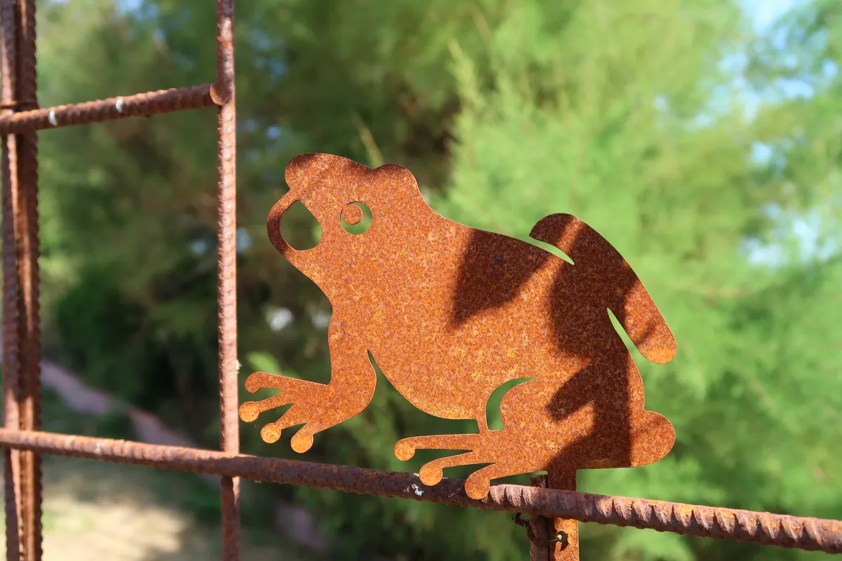 Grenouille en acier corten - Acier corten